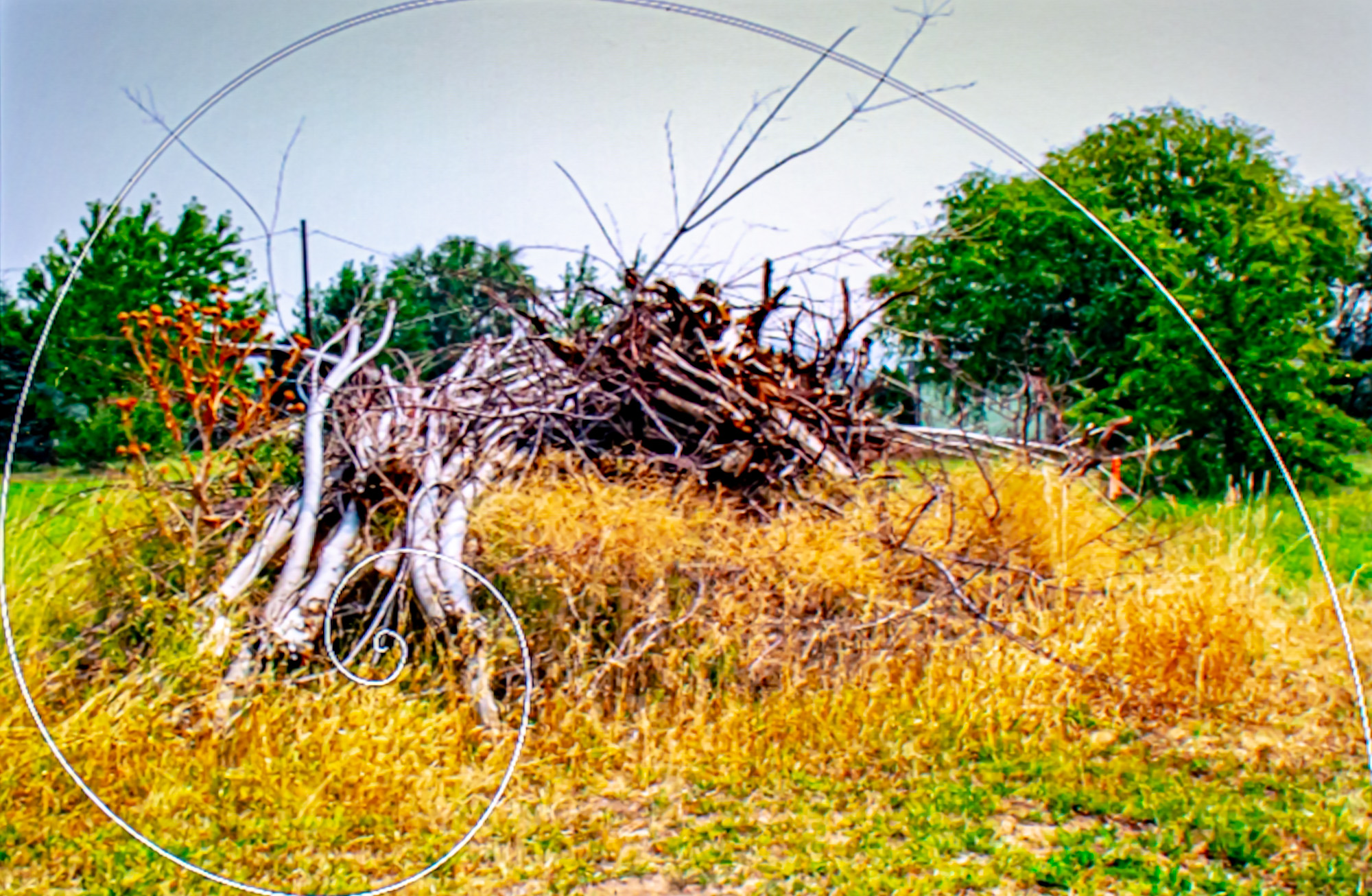 DSC_8503-Edit.jpg