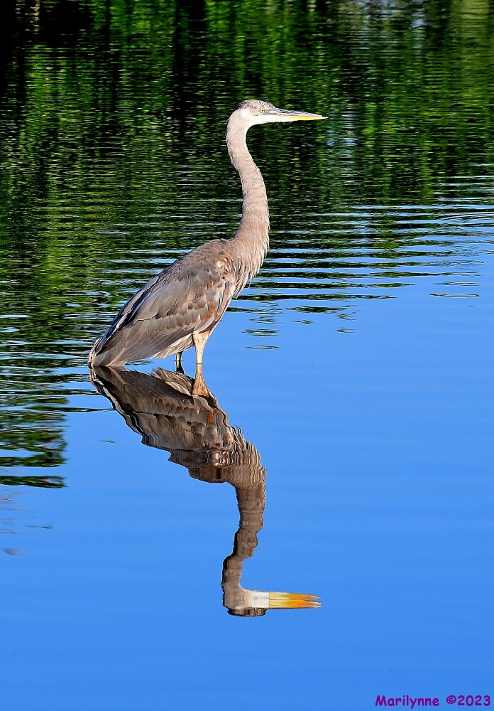 DSC_8505_001.JPG