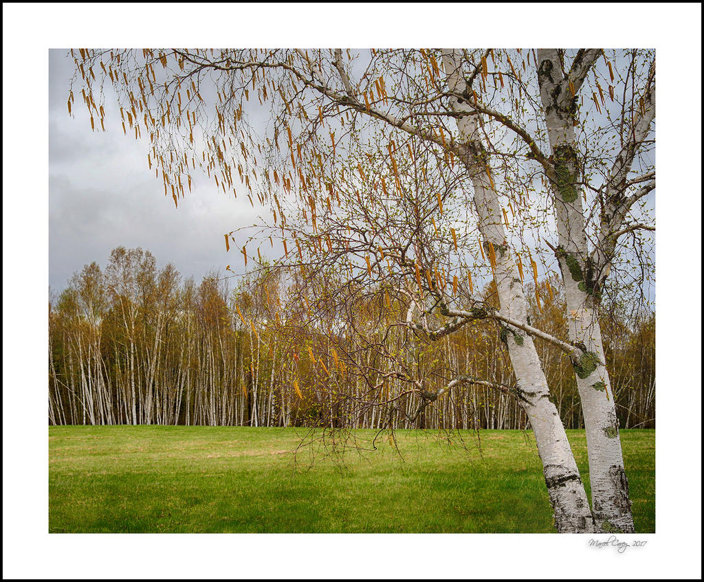 DSC_8510_HDR.jpg