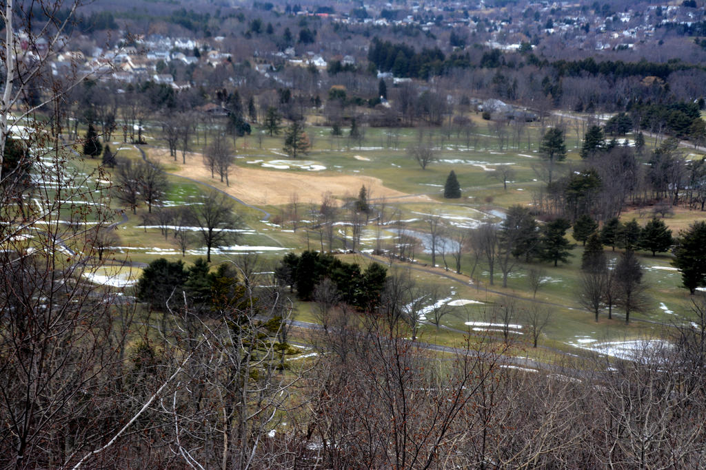 DSC_8517.jpg