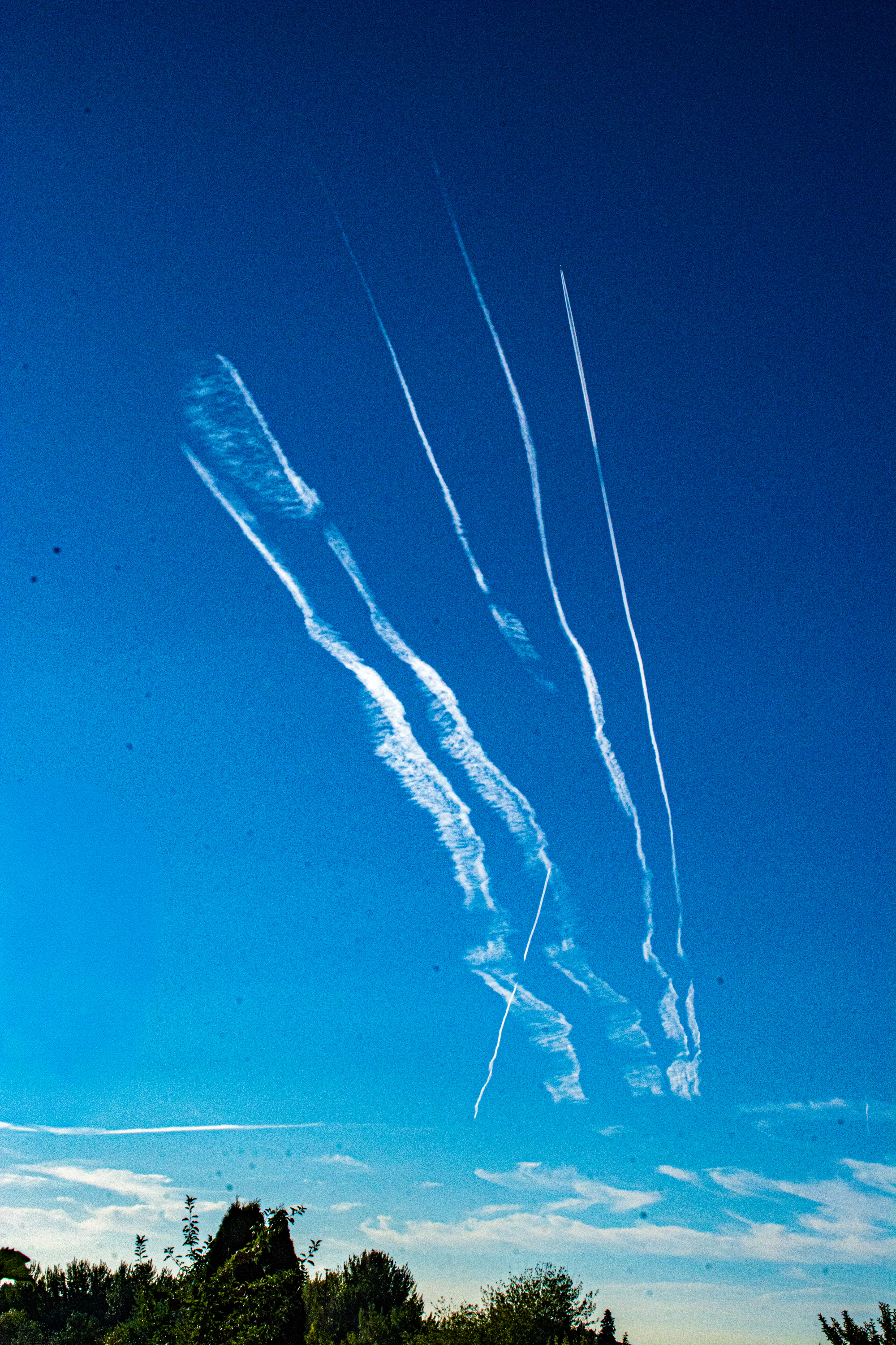 DSC_8536.jpg