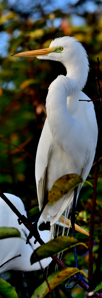 DSC_8537_stitch3_001.JPG