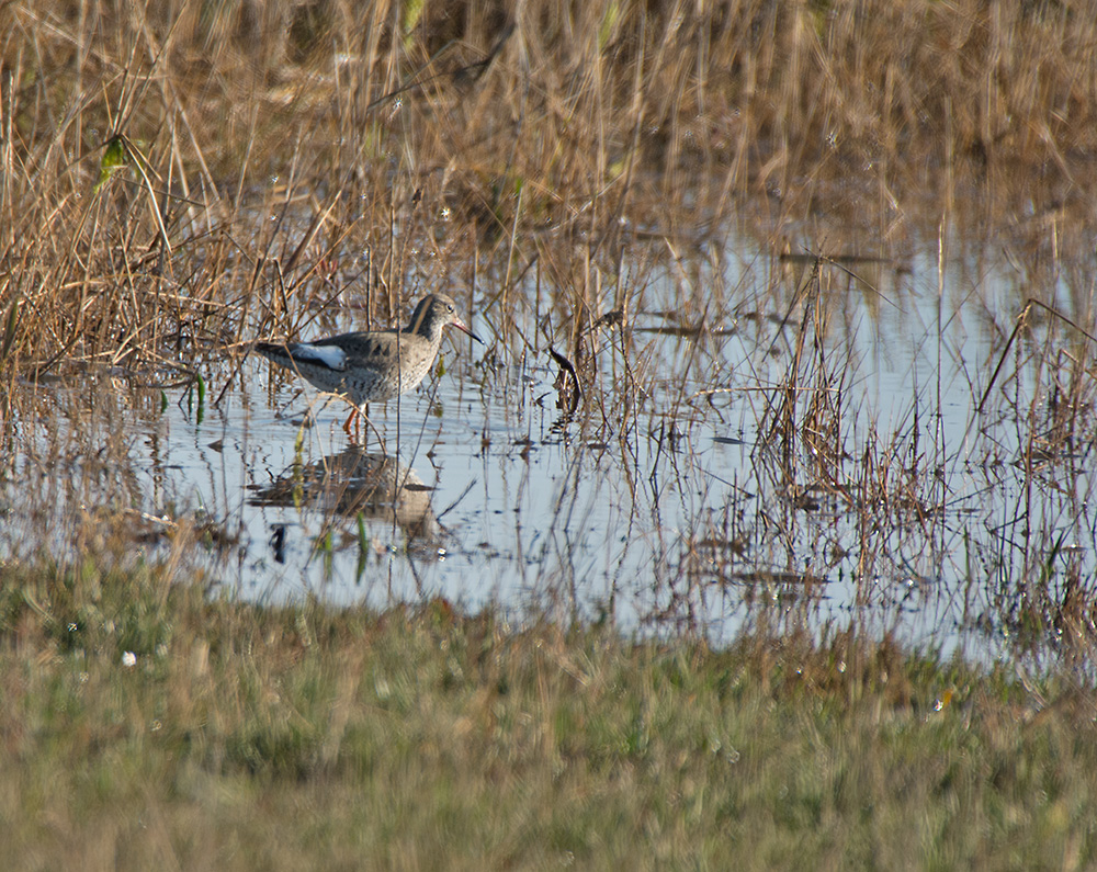 DSC_8540.jpg