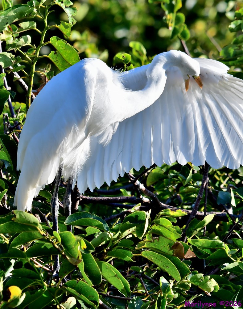 DSC_8540_001.JPG