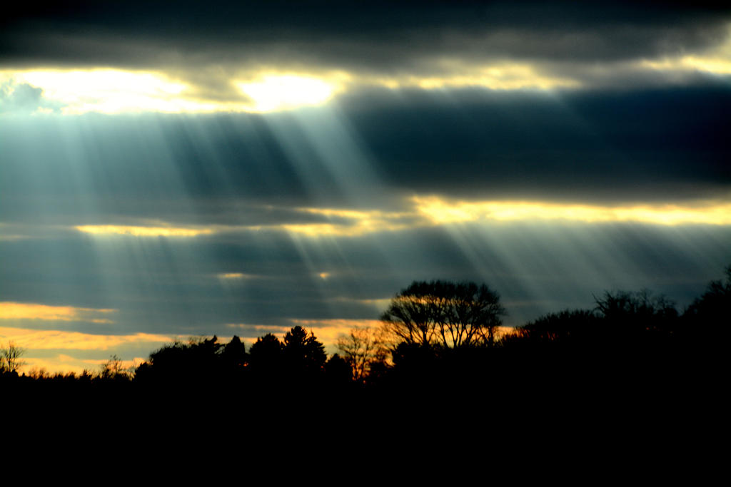 DSC_8544.jpg