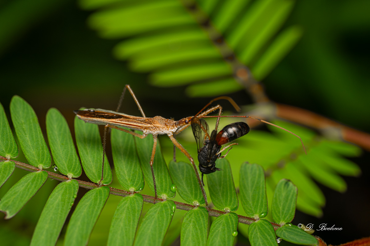 DSC_8549.jpg