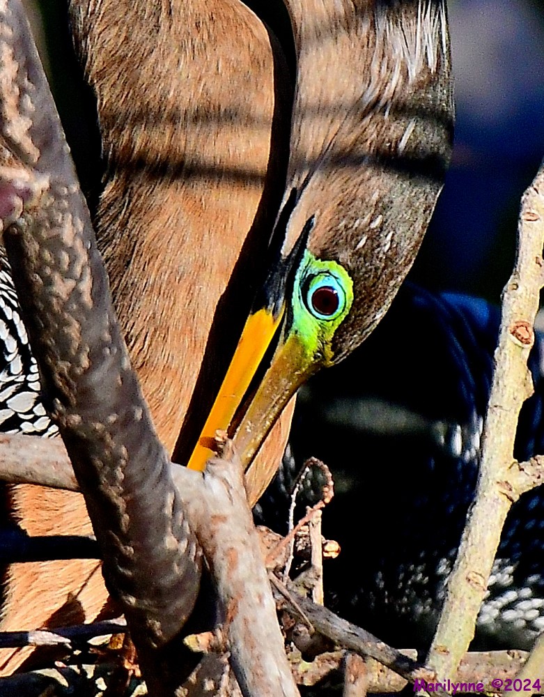 DSC_8550_001.JPG