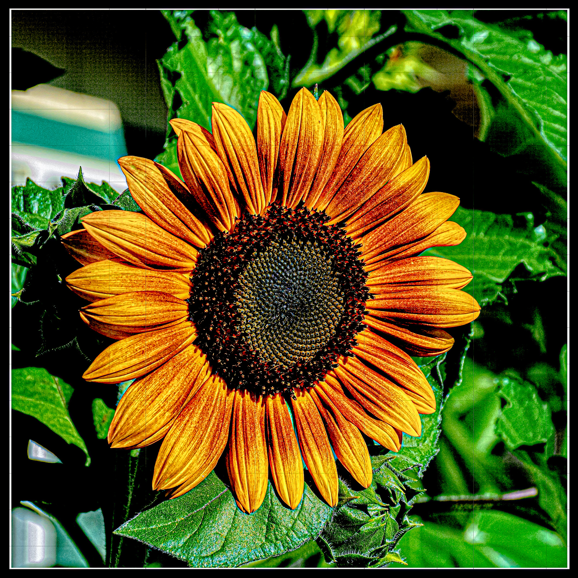 DSC_8551-Edit-Edit.jpg