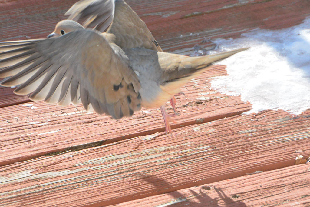 DSC_8553.jpg