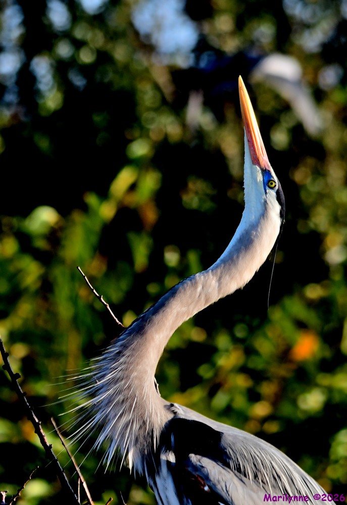 DSC_8559_001.JPG