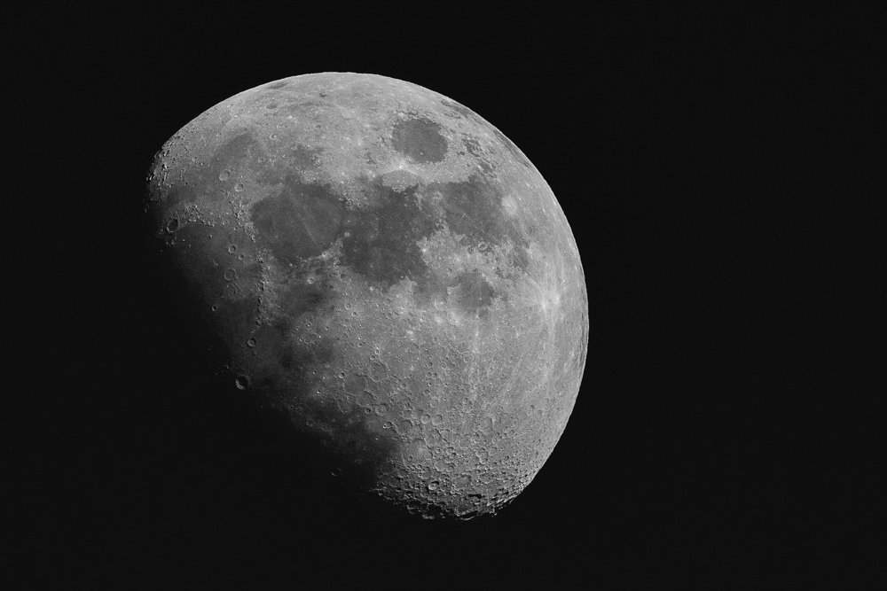 DSC_8561.jpg