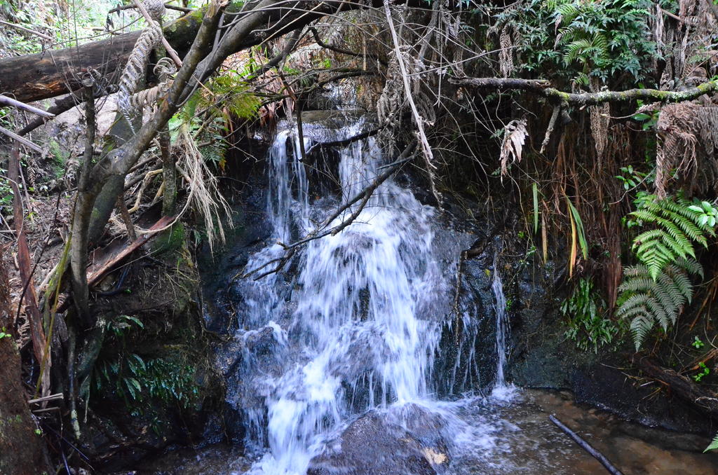 DSC_8566.jpg