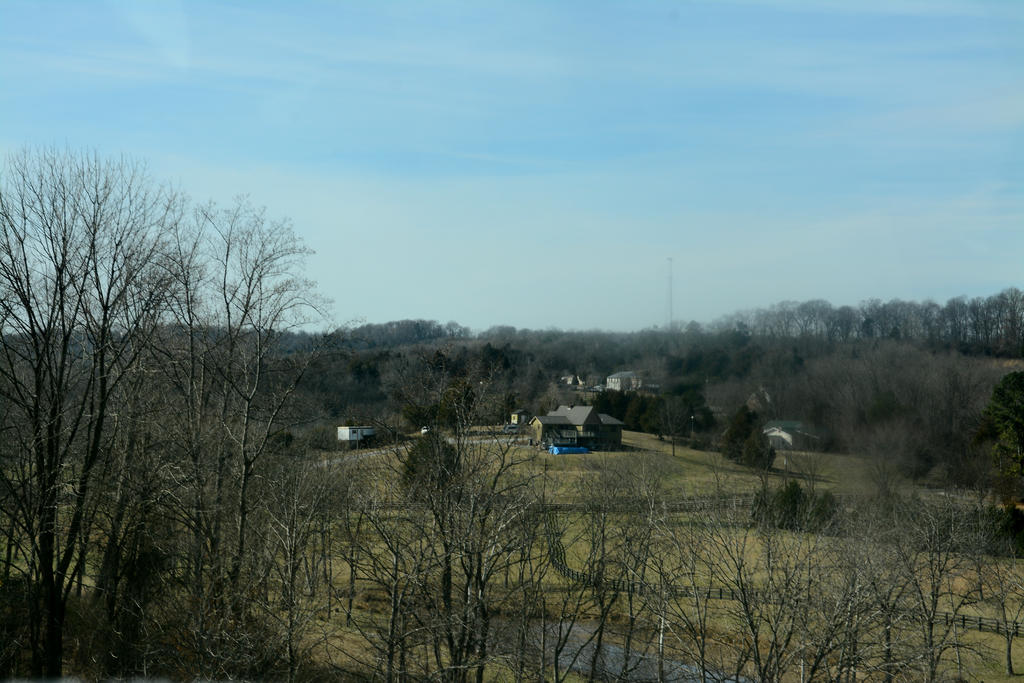 DSC_8571.jpg