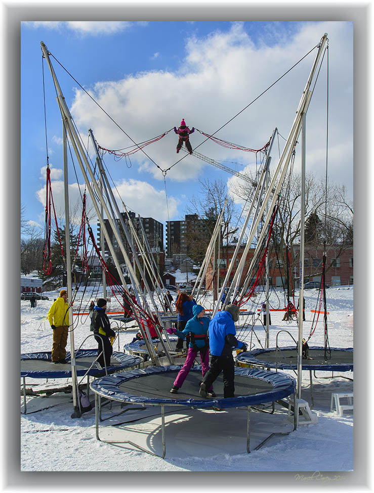 DSC_8572.jpg