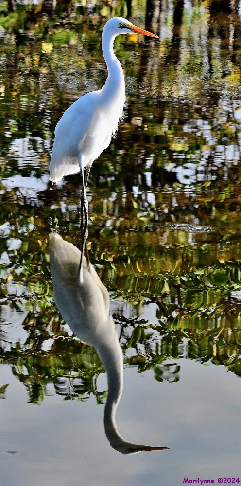 DSC_8575_stitch4_001.JPG