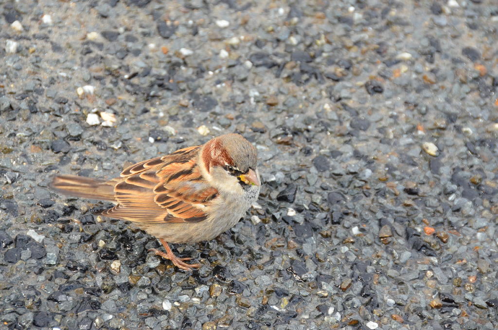 DSC_8578.jpg