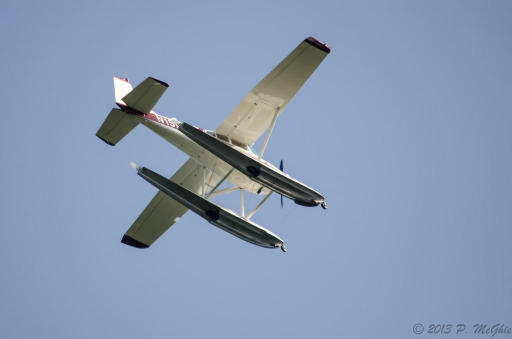 DSC_8581.jpg
