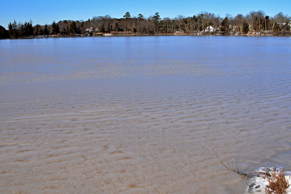 DSC_8582.jpg
