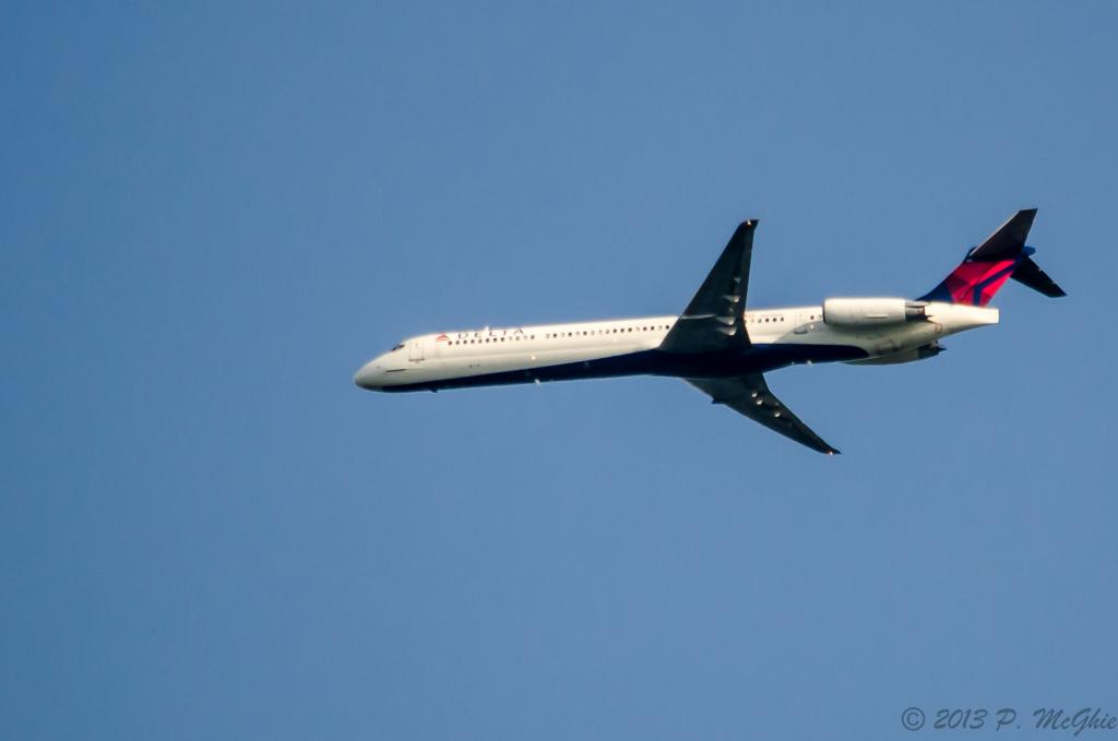 DSC_8587.jpg