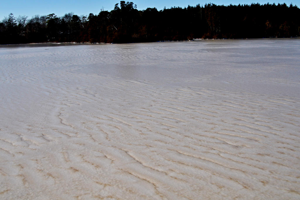 DSC_8588.jpg