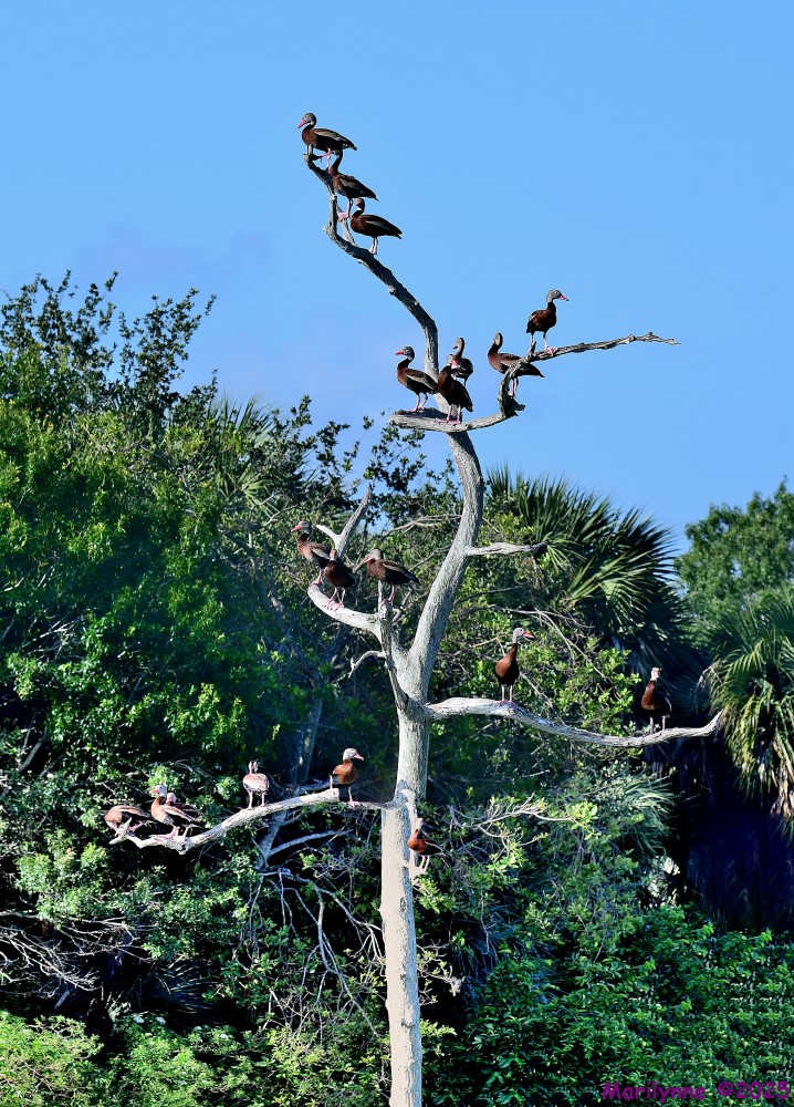DSC_8592_stitch3_001.JPG
