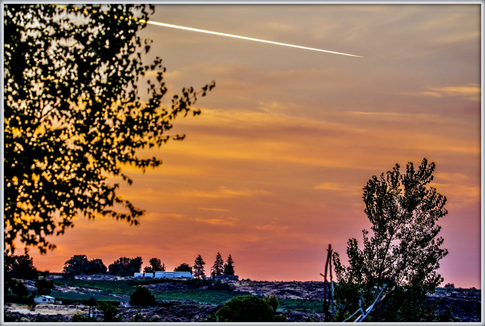 DSC_8593.jpg