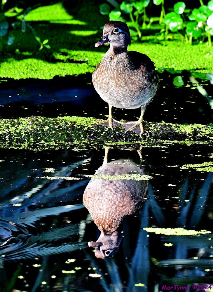 DSC_8594_stitch3_001.JPG