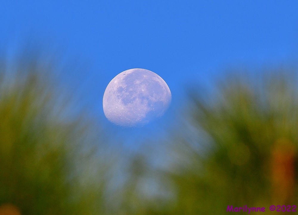 DSC_8595_001.JPG