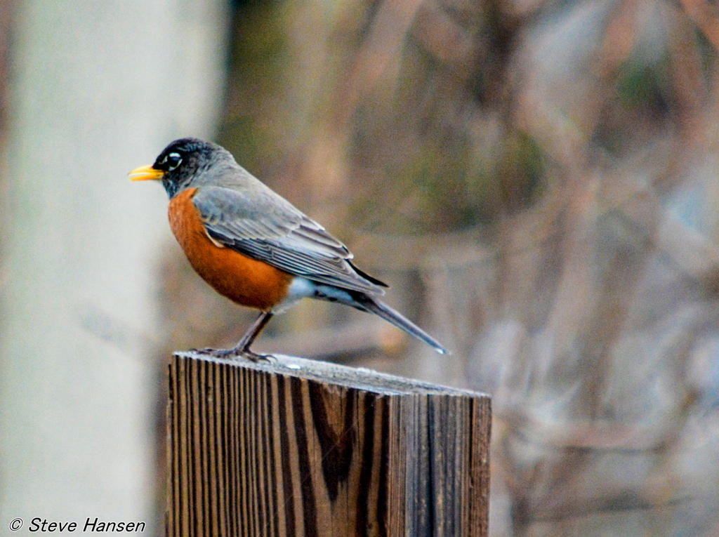 DSC_8609.jpg
