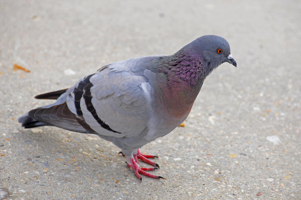 DSC_8609.jpg