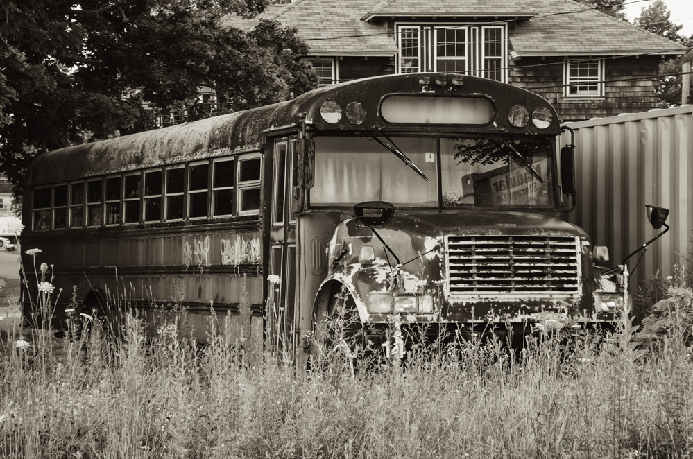 DSC_8614-Edit.jpg