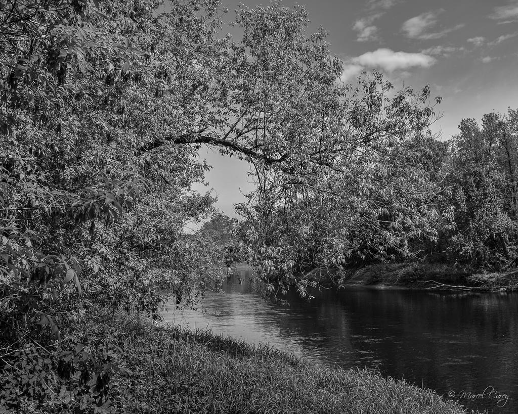DSC_8615.jpg
