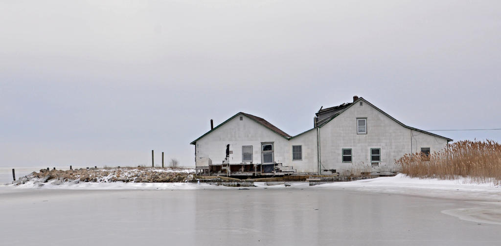 DSC_8617.jpg