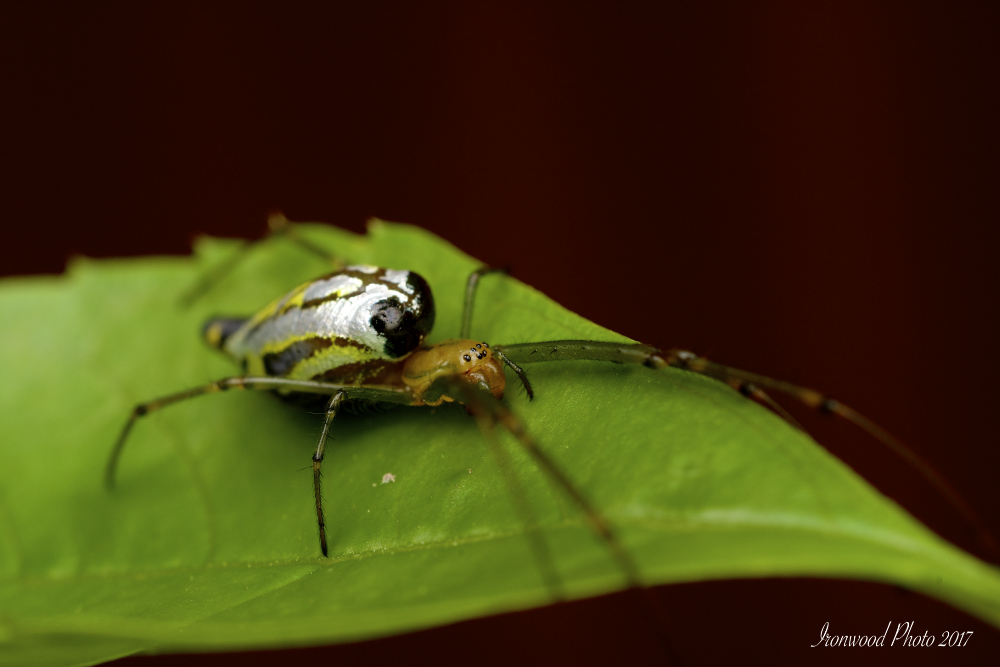 DSC_8618.jpg