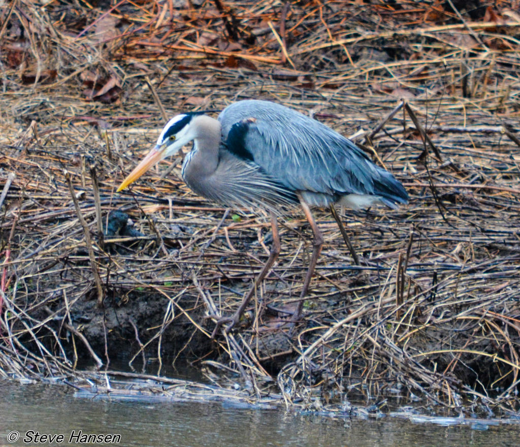 DSC_8622.jpg