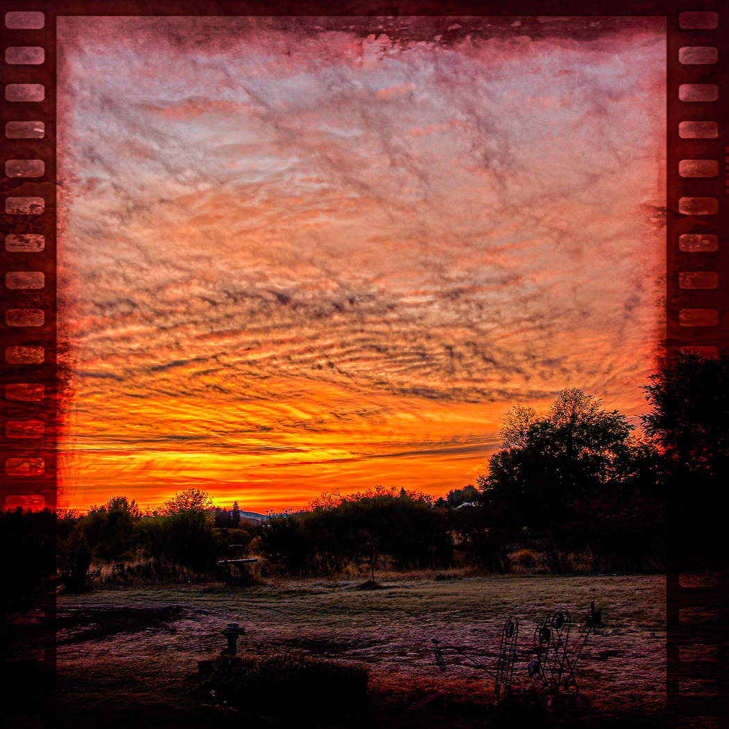 DSC_8623-Edit.JPG