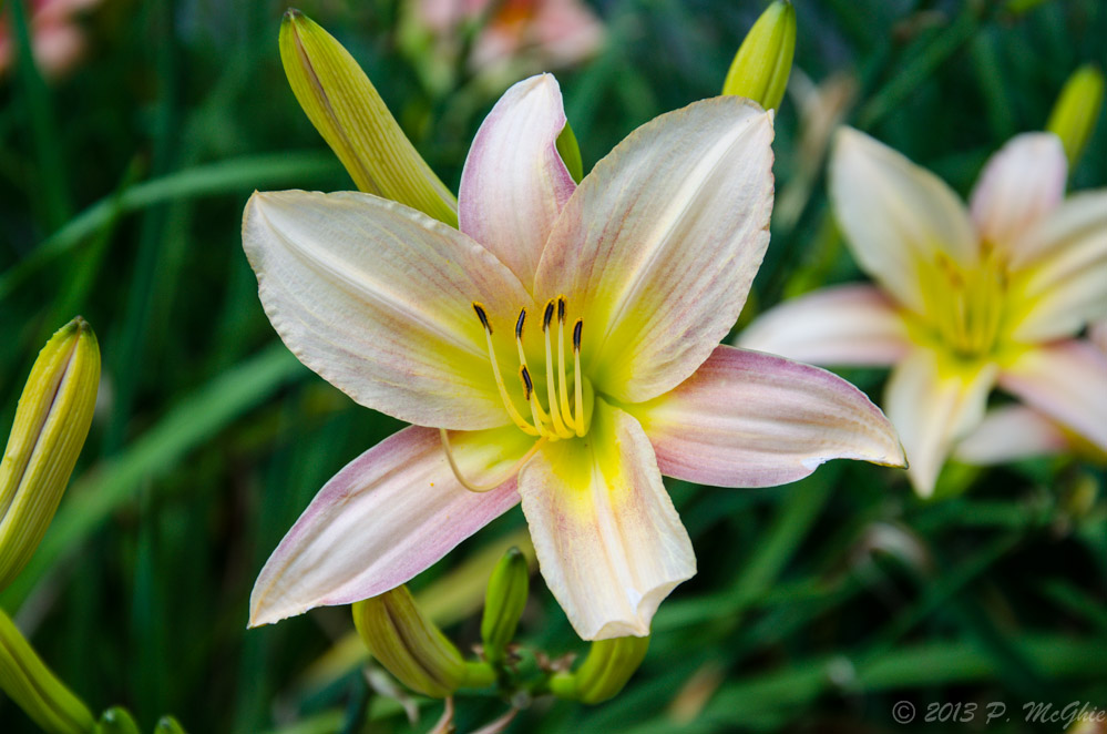 DSC_8623.jpg