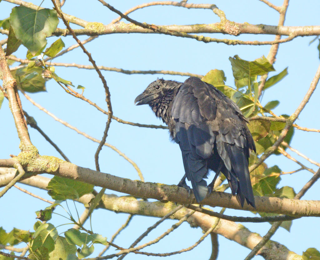 DSC_8624.jpg