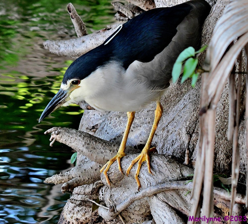 DSC_8625_001.JPG