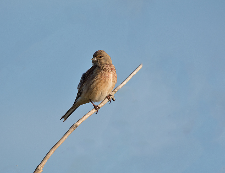 DSC_8626.jpg