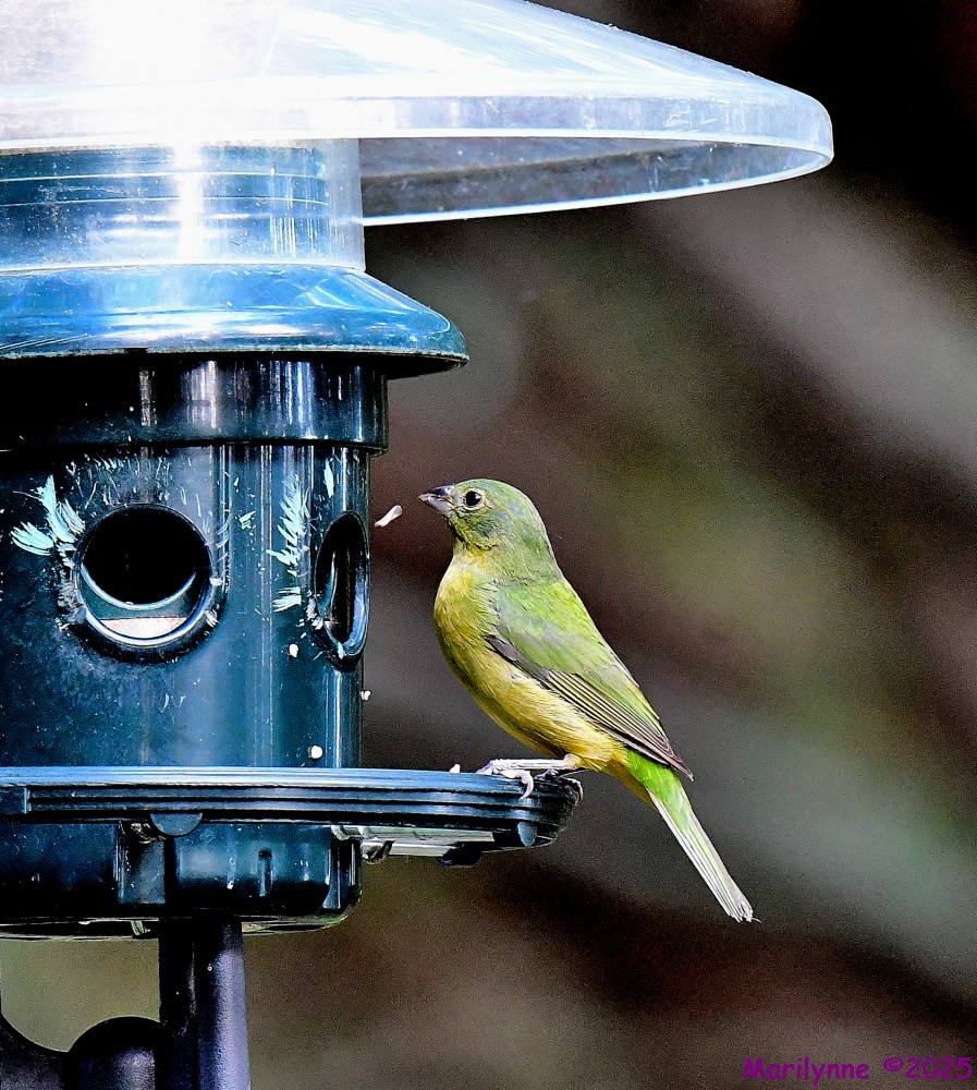 DSC_8628_001.JPG