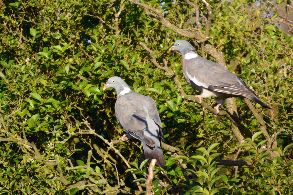 DSC_8629.jpg