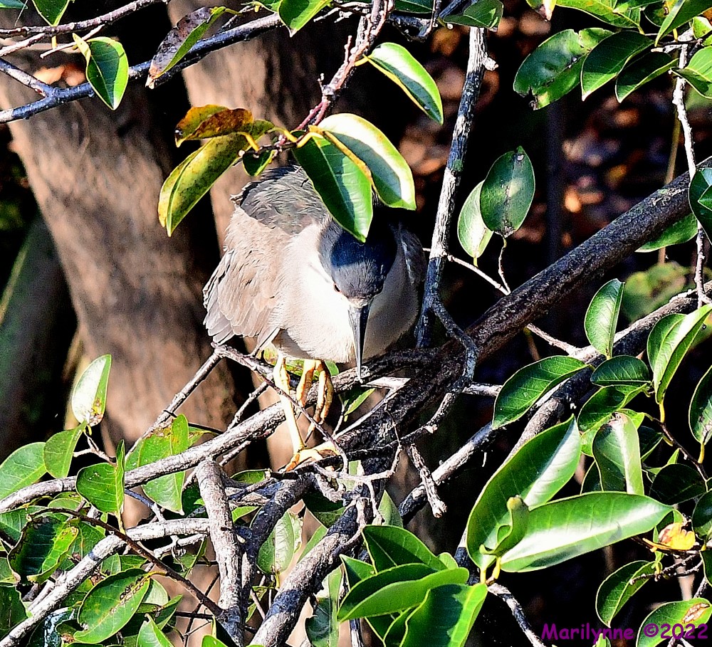 DSC_8639_001.JPG