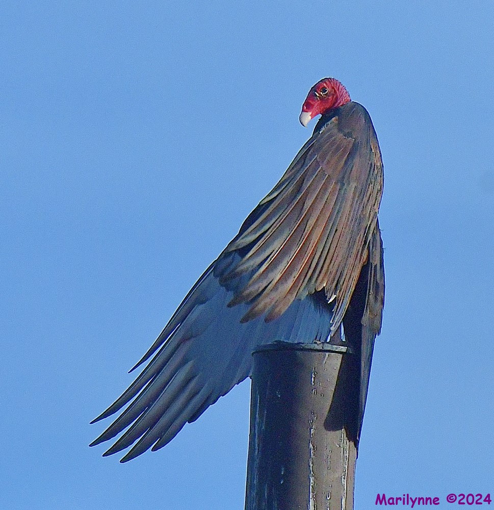 DSC_8639_001.JPG