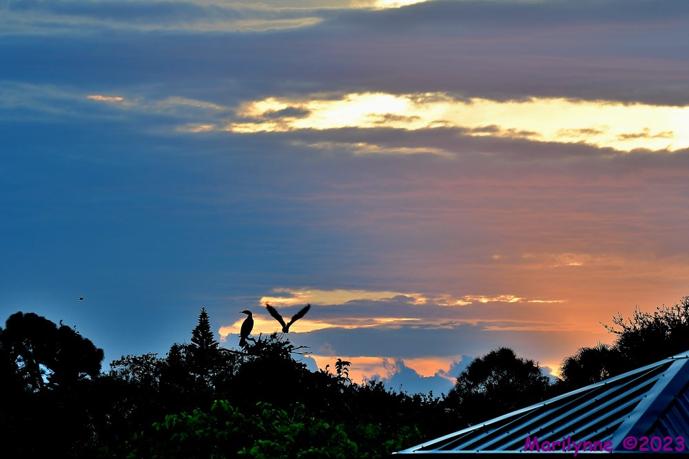 DSC_8644_001.JPG