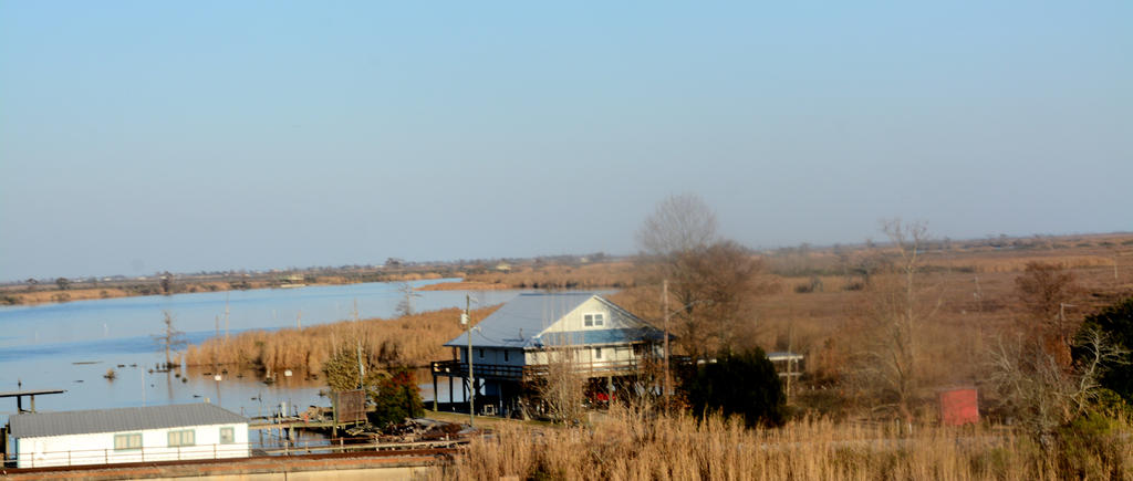 DSC_8648.jpg