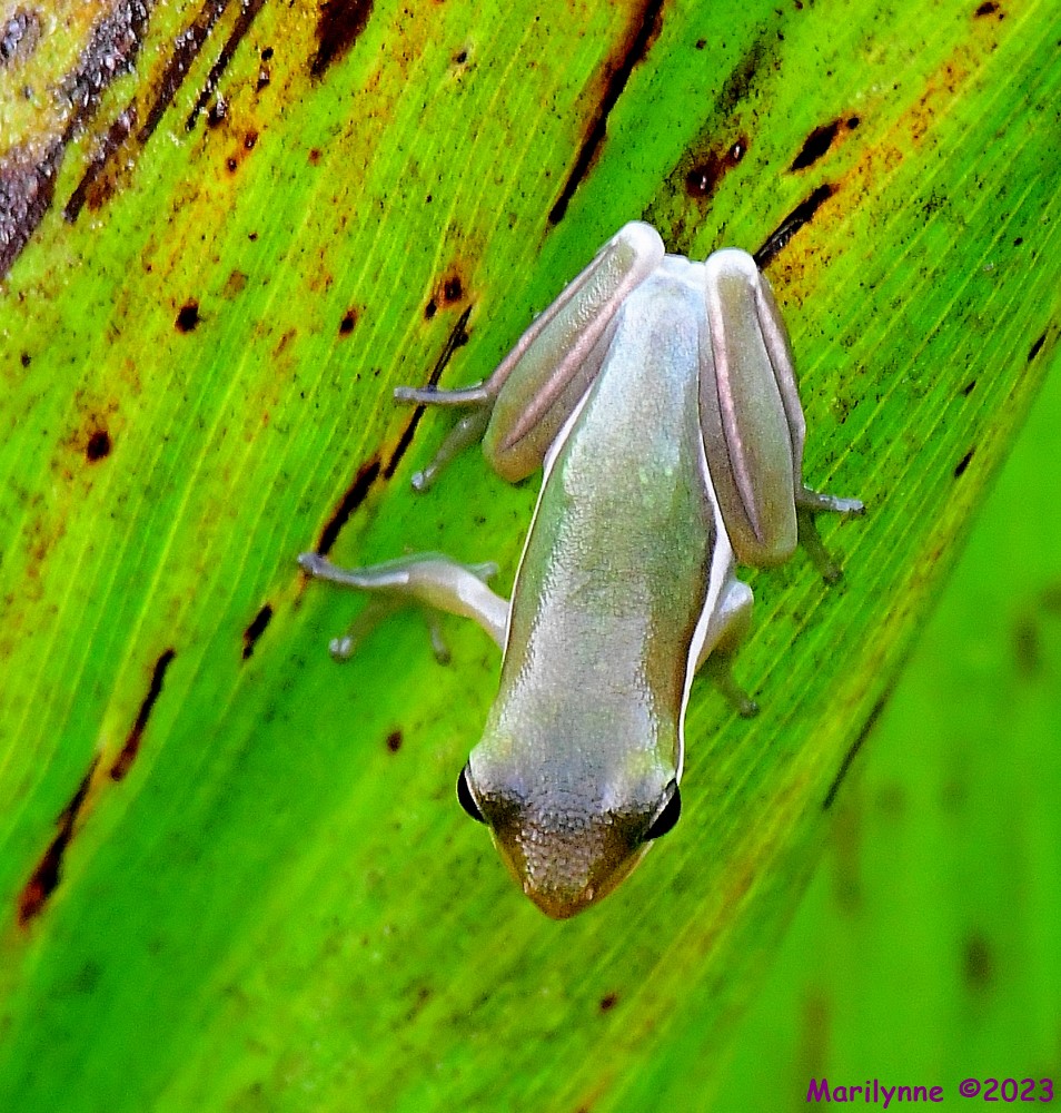 DSC_8648_001.JPG