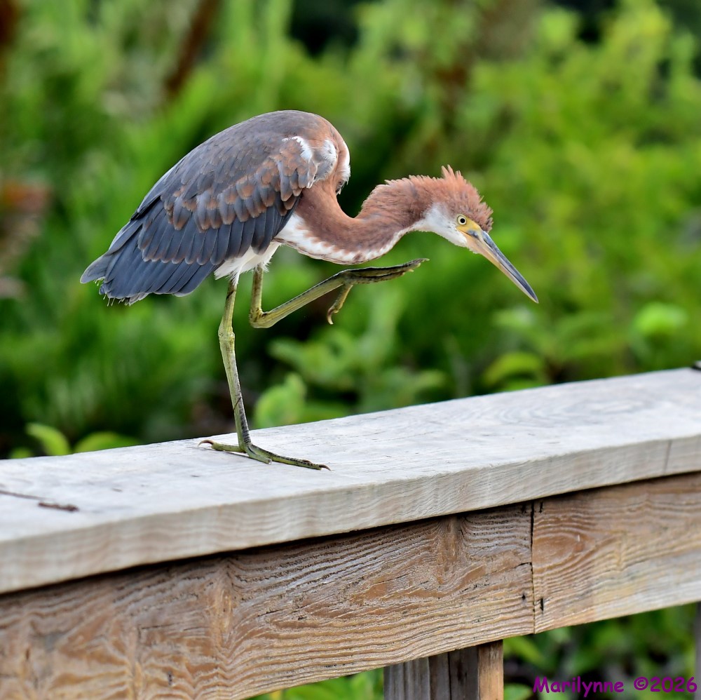 DSC_8649_001.JPG