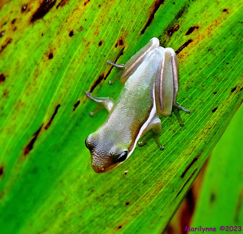 DSC_8650_001.JPG