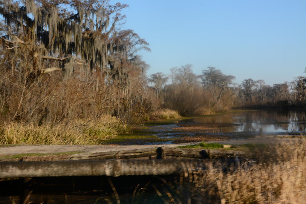 DSC_8656.jpg